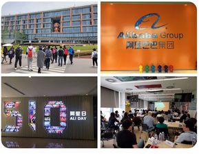 互聯(lián)網公司都在996 咱們去阿里 和ibm一探究竟